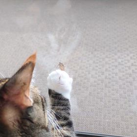 １１月１７日（月）の画像