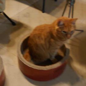 うみとやま2130日目（生後5年11ヶ月15日）の画像