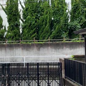信じるか信じないかは…2024.7.15の画像