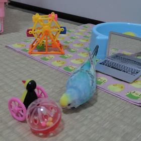 9月11日水曜日　おはようございますの画像