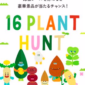 ご坊っちゃんGetだぜ！の画像