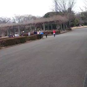 2/17 リレー選考会（中間点）①の画像