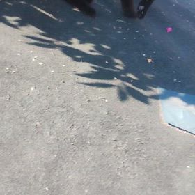 エサやりに行って来ました。の画像