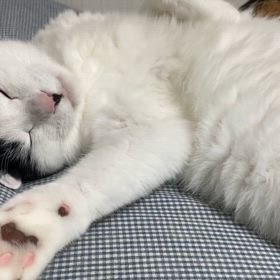 よく頑張りました〰︎の画像