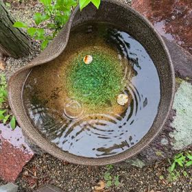 こんにちは。(5月24日)の画像