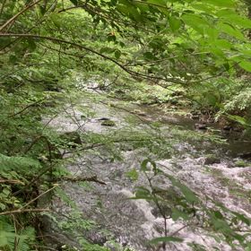 続軽井沢涼しい編の画像