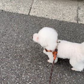 今日のニコ♪動画の画像