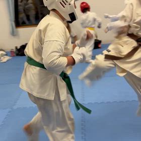 トワ　久しぶり！の画像