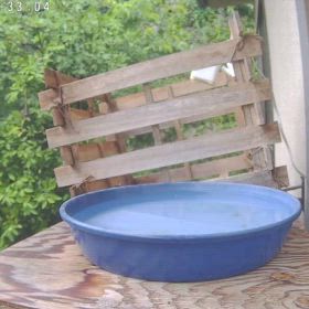 すぎぴたんの事件簿シーズン3　506話（かわいい来客　シジュウカラ子）の画像