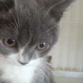 Googleフォトの画像