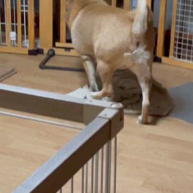 これが原因か？の画像