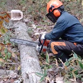 パンの仕込みは薪作りからの画像