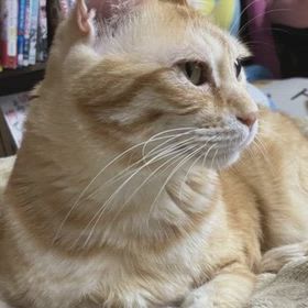 血漿交換9回目の画像