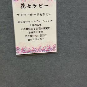 2024/12/01の画像