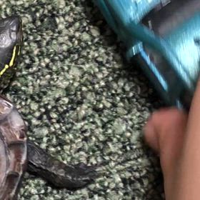 ミニカーで遊びます^ ^の画像