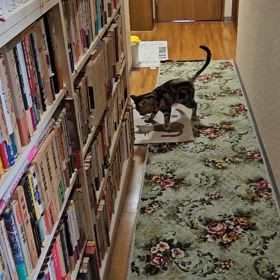 テツ、「冷蔵庫の製氷」で遊ぶかな。の画像