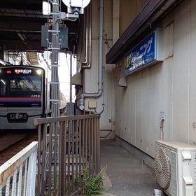 2024/02/29の画像