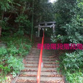2025/08/02の画像