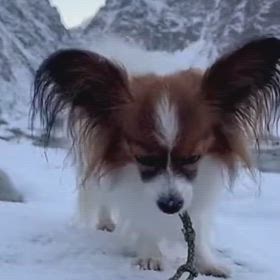 試し(´・ω・｀)の画像