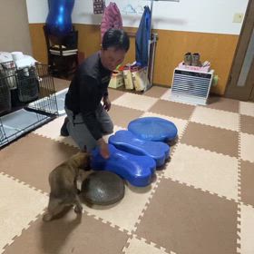 身体と頭の遊びの画像