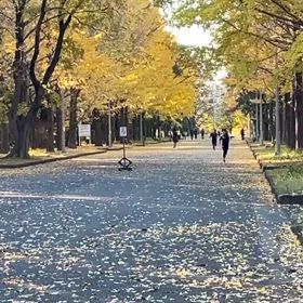 県駅伝最終選考会（ゴール）②の画像