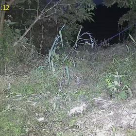 すぎぴたんの事件簿シーズン3　508話（よく来るウサギ）の画像