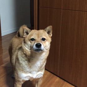 2025年10月26日の画像