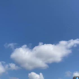 ブルーインパルスの画像