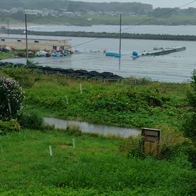 大雨警報なのに海水浴…？の画像