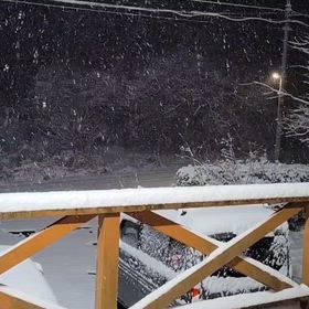 雪❄です。の画像