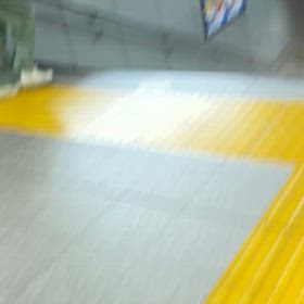 先行したがの画像