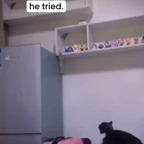 ジワる　笑の画像