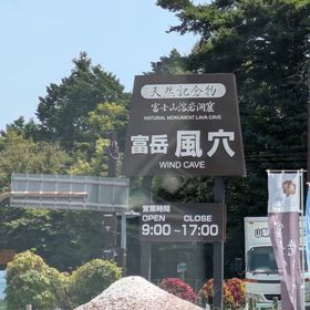 ㊗️4600投稿目　Instagramリール動画(山梨旅より)の画像