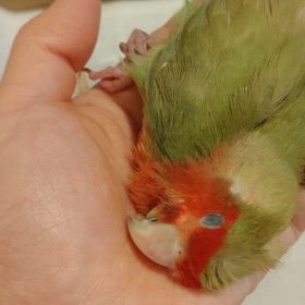 がっちゃんと過ごした22年その③の画像