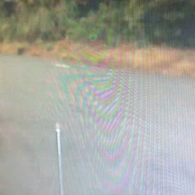 あっ！今朝もとまってた！の画像