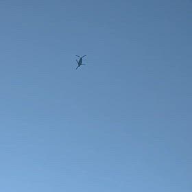 今日はすごい！の画像