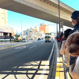 復路はどこが勝つ？の画像