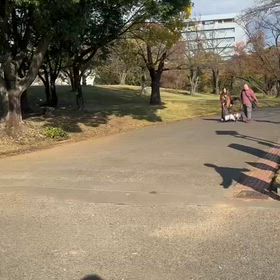 県駅伝選考会(中間点)②の画像