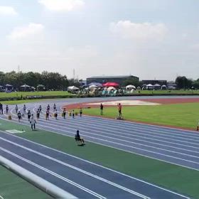 男子80m予選⑩の画像