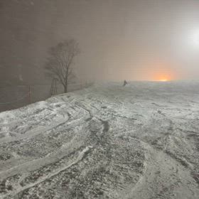 久々の投稿の画像