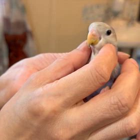 私の力不足。の画像