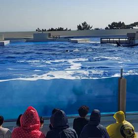 キャーキャーキャー、、ごめんなさいの画像