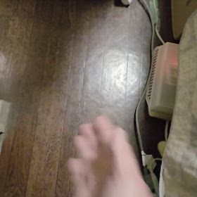 うまく撮影出来ず(泣)の画像