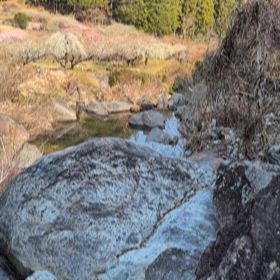 森野熊三(◠‿・)—☆の画像