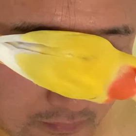 秘書の仕事( ｰ̀ωｰ́)の画像