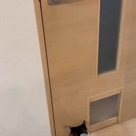 翔平君の得意技♥の画像