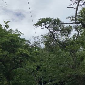 ホラ貝に導かれて夕日の滝への画像