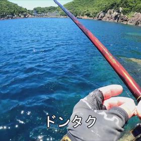 ドンタクの画像