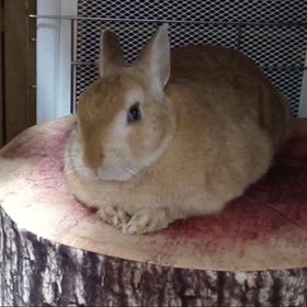 ずっと見ていられるの画像