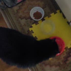 朝の我が家の様子の画像